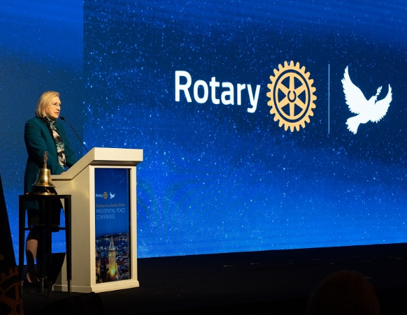 Barışı Destekleme